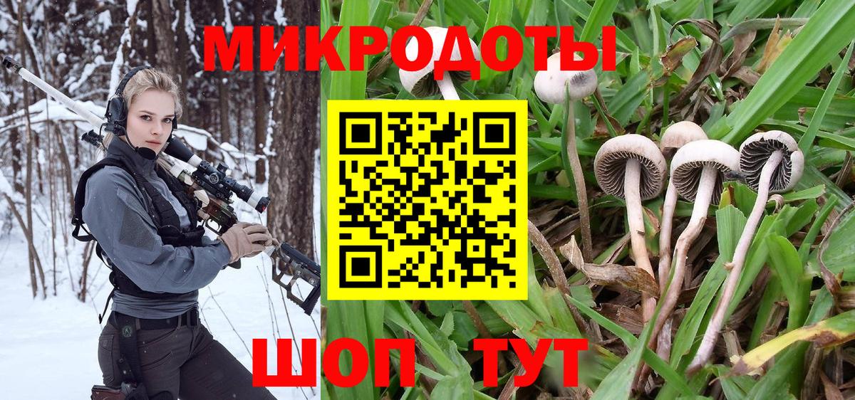Псилоцибиновые грибы мухоморы  Галлюциногенные грибы мухоморы  Вход с VPN  Керчь 